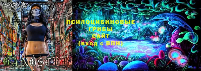 Псилоцибиновые грибы Magic Shrooms  ссылка на мегу ССЫЛКА  Калуга  как найти закладки 